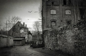 City / ***
