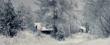  / 2009