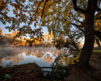 Herbst / ***