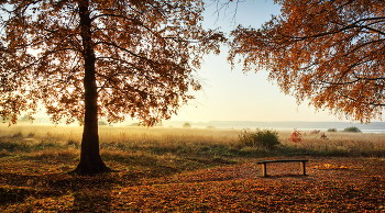 Der Morgen des neuen Tages / ***