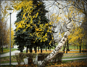  / Super -Takumar 1:1,8/55mm