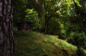 Die Jagdhütte / ***