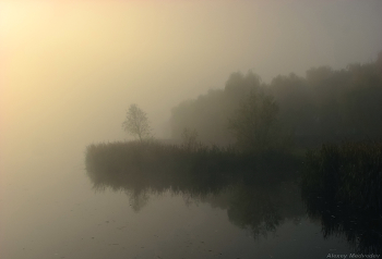 Inselchen / ***