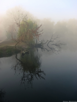 An der Küste / ***