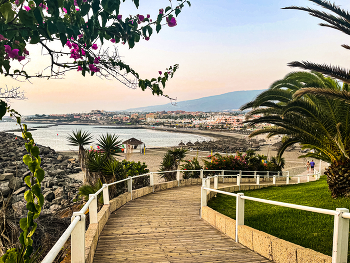 Paraiso / Ocean, palm trees, pink flowers & mountains.