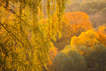Autumn pastorale. / ***