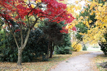 Herbstfarben / ***
