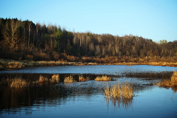 Backwater. / ***