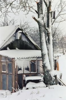 / 2008