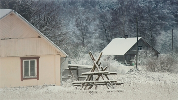  / 2009