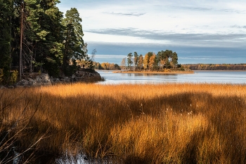 Herbst im Mon Repos / ***