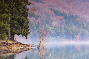 Herbst Einsamkeit / ***