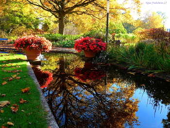 Planten un Blomen Hamburg / ***