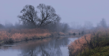 Alte Weide / ...........