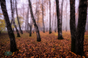 Der Geruch des Herbstes / ***