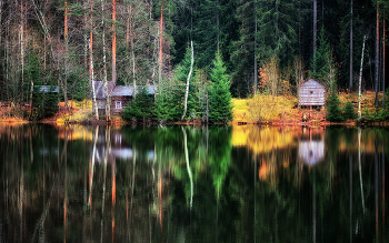 Befriedung / Nikkor 24-120 f4