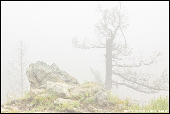 Der Geruch des Herbstes / ***