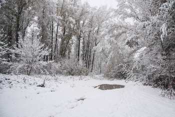 Der Winter kommt ... / ***