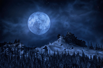 Night Watch / ***