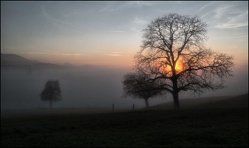 Nebel / Sonnenuntergang