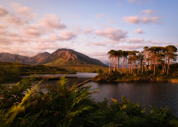 ...Connemara calm... / ***