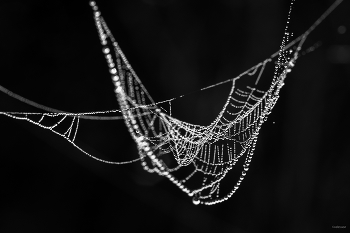 Ohne Titel / ...