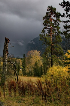 Autumn etude / ***