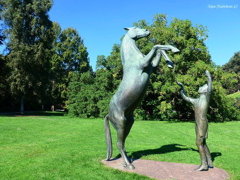 Celle / ***