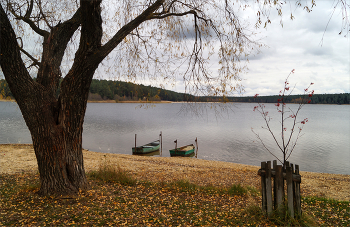 Autumn etude / ***