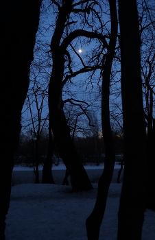 Abendlandschaft / ***
