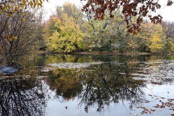 November ... / ***