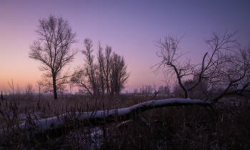 Winterdämmerung / ***