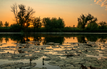Das mitten im Sommer. / ***