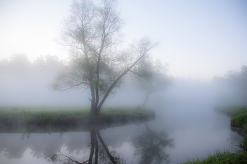 Misty Stimmung / ***