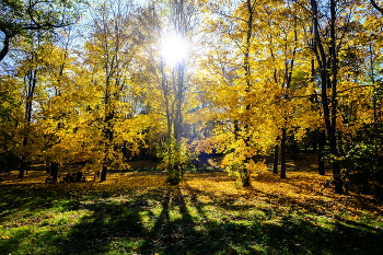 Herbst / ***