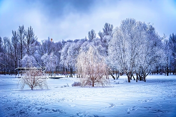 Wintermärchen. / ***
