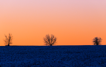 Feld / ***