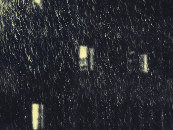 Leben rund um / ***