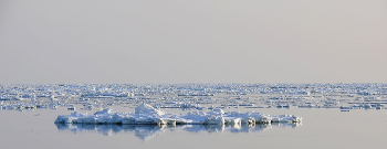 ice of horizon / ***