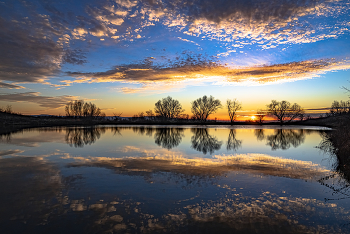 Abend auf dem See / ***