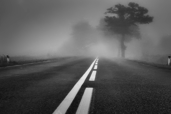 Nebel zerstreut / ***