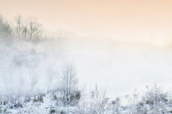 Winternebel / ***