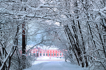 View of the Palace... / ***