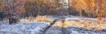 Frost und Sonne - einen wundervollen Tag! / ***