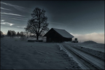 Kalter Abend / Nebel