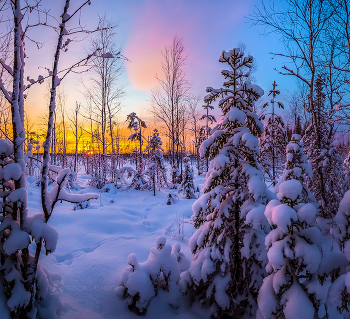 Sonnenuntergang im Winter / ***