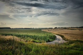 Weg / ***
