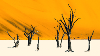 Sossusvlei Minimalistic / Dead camelthorn trees, Sossusvlei, Namib-Naukluft National Park, Namibia