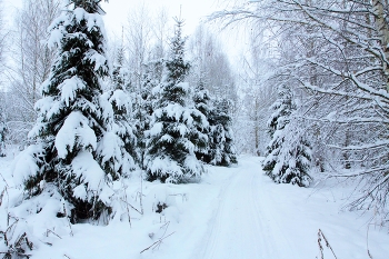 Nach Schneefall / ***