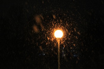 schneit / ***
